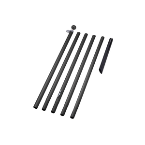 Lumedi Classic 2000 LED | 6 mètres | Mât inclus